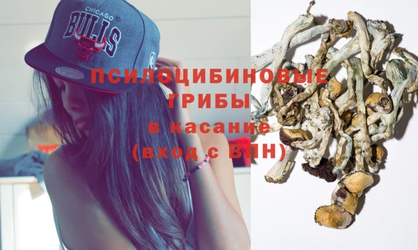 spice Аркадак