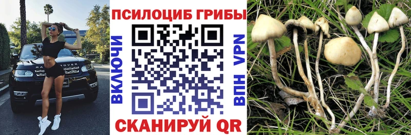 Псилоцибиновые грибы мухоморы Белозерск